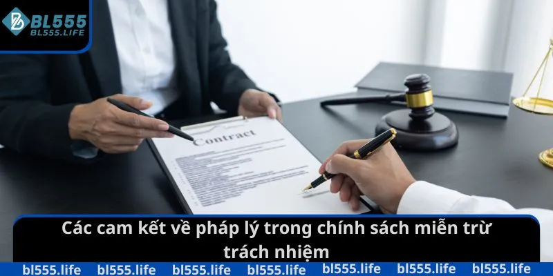 Các cam kết về pháp lý trong chính sách miễn trừ trách nhiệm