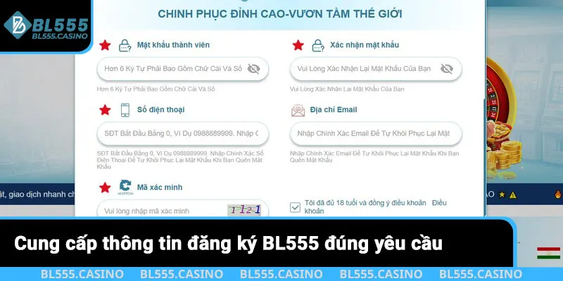 Cung cấp thông tin đăng ký BL555 đúng yêu cầu