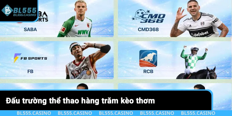 Đấu trường thể thao hàng trăm kèo thơm